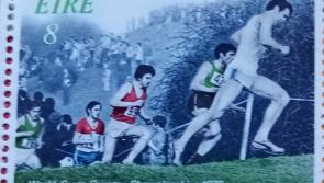 Limerick Athletics - Weekly News Update