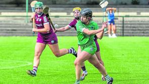 Limerick face All-Ireland champions Kilkenny in league quarter-final