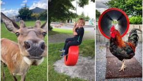 Spend a day enjoying fun activities at Graune Pet Farm and Play Centre