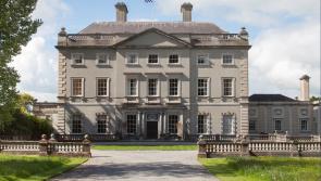 Limerick billionaire reportedly buys Laois mansion for whopping €20 million 