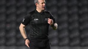 Limerick referee appointed to Leinster final as Carlow official gets Munster hurling final