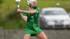 Limerick begin All-Ireland camogie championship with visit of Wexford