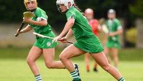 Heartbreak for Limerick camogie as Wexford get injury time winner in All Ireland Championship