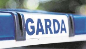 Window of Limerick bus smashed in rock-throwing incident