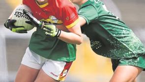Lengthy injury delay and defeat to Carlow but Limerick still into Ladies Football semi final