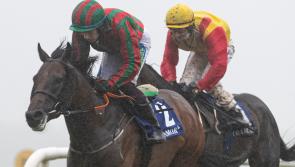 It's winners alright for Limerick racing enthusiasts