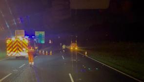 Four motorists hospitalised after collision with cow on Limerick outskirts