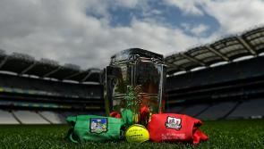 Nothing beats a late summer Sunday with the hurlers in Croker - Luimneach Abú!