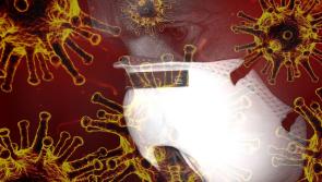 BREAKING: National daily Covid-19 case numbers confirmed