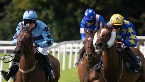 It's winners alright for Limerick racing connections