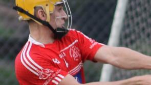 Mungret-St Paul's win again as Knockainey escape Limerick Premier IHC relegation play-off