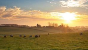 Make the most of the warm weather as change is on the way