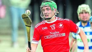 Bruff consign Murroe-Boher to Limerick intermediate ranks with play-off win
