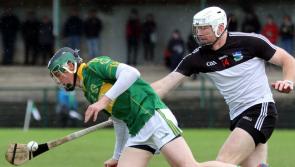 Cappamore ease past Newcastle West to reach Limerick Premier IHC final