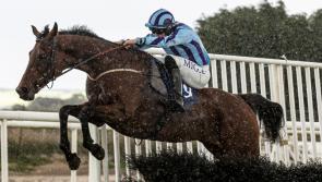Herbertstown jockey Donie McInerney visits winners enclosure at Roscommon
