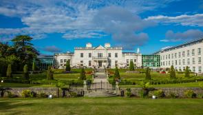 Do you know a student attending UCD who is seeking some part-time work?