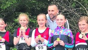 Limerick Athletics - Weekly news update