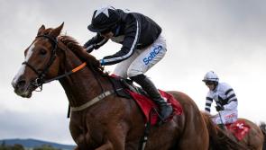 Big Limerick success at Cork among highlights for racing enthusiasts