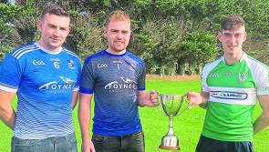 Effin and Croagh-Kilfinny face-off in Limerick intermediate hurling final