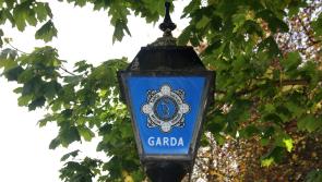 Gardai appeal for witnesses to 'serious two car head-on collision' in Limerick