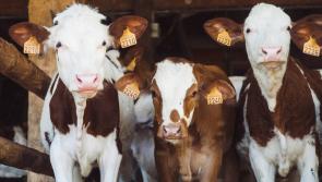 Details of financial support package to assist farmers announced