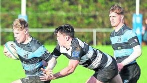Limerick clubs chase precious All-Ireland League wins