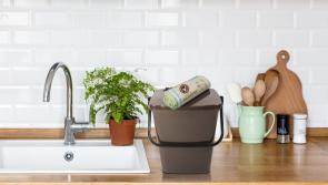 MyWaste’s Food Waste Bin Road Show to start in Limerick this Thursday