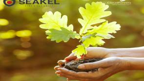 SEAKEL’s goal is to transition into a Net Zero Carbon environment