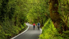 WATCH: New Limerick Greenway to feature in prime TV slot