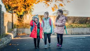 New chapter for Limerick school as refurbishment works conclude
