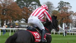 Rich pickings for Limerick racing connections on the track