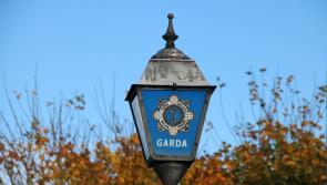 Thieves use angle grinder to break into Limerick GAA club 