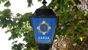 Community 'heartbroken' after Limerick farmer dies in tree-cutting accident 