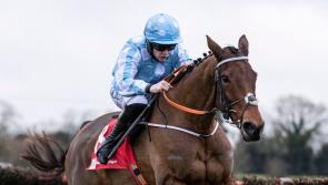 Ballingarry's Billy Lee visits Dundalk winners' enclosure