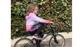 Young Limerick girl left 'distraught' after bike stolen from outside school