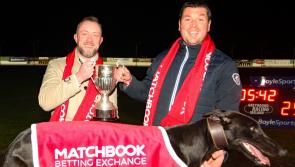 PICTURE SPECIAL: Ballymac Merlin wins Irish St Leger final in Limerick Greyhound Stadium