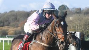 It's winners alright for Limerick racing connections!