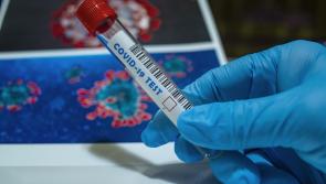 BREAKING: Six confirmed cases of Omicron in Ireland as latest Covid figures  released