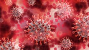 BREAKING: New cases of Omicron detected as Covid figures confirmed