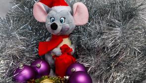 Wild About Wildlife: A visit  from the Christmas mouse 