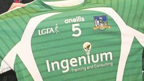Limerick Ladies minor football panel is revealed