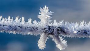 Wrap up well! Met Éireann warns of low temperatures in Limerick