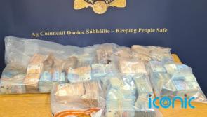 Man in his 30s arrested after Gardai seize almost €500,000 in cash at port