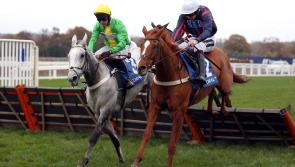 Stayers’ Hurdle hope 'Buzz' will undergo the next stage of his rehabilitation next week