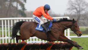 ‘All roads’ lead to Cheltenham for Adagio after weekend return