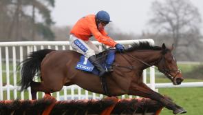 ‘All roads’ lead to Cheltenham for Adagio after Wincanton return