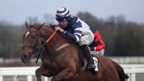Coral Cup looks ‘obvious’ race for Good Risk At All
