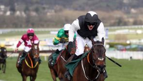 Flooring Porter and Vanillier spearhead Cromwell’s Festival squad