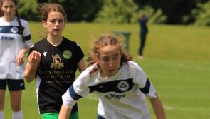 Limerick Desmond reach Gaynor Cup semi-finals as Limerick County into Shield semi-final at UL