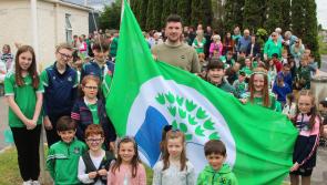 In Pictures: Limerick hurling captain helps school hoist its impressive 10th Green  Flag